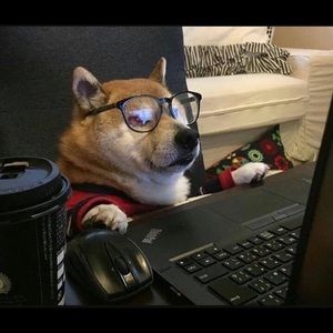 Electronics. Because we need them! Check out my closet 🖥📞💻🔌